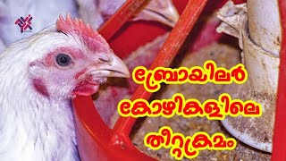 ബ്രോയിലർ കോഴികളിലെ തീറ്റ ക്രമങ്ങൾ | Feeding patterns in Broiler chickens