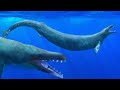 shocking evolution of whales explained