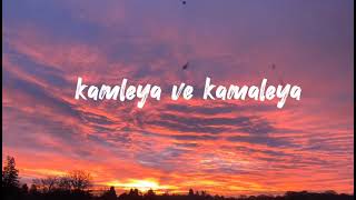 Ve kamleya(female)#Aseeskaur #lyrics #lyricvideo #slowedandreverb