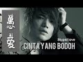 愚爱 - Yu Ai - Huan Zi - 欢子 - Cinta Yang Bodoh - Stupid Love - Lagu Mandarin Subtitle Indonesia