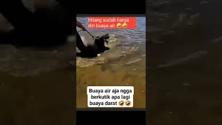 Buaya aja sampe ketakutan #shorts #viral #fyp