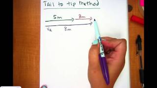 AP Physcis Video 2.3 1D Vectors and Tail to Tip Method