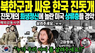 [해외감동사연] 6.25참전용사의 충격과 눈물의 사연, 아이를 구한 미친 한국 진돗개의 급발진 행동과 미국을 구한 기적의 순간(충격주의)#해외반응 #해외감동사연