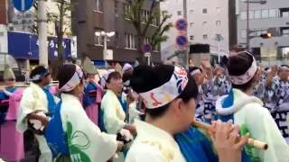 徳島市阿波おどり『うきよ連・関学連』紺屋町輪踊り20160813