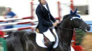 Bad horse Fall at the OKC GO Grand prix