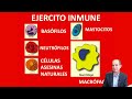 fortaleciendo el sistema inmune naturalmente en vivo con frank suarez