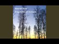 Silent Echo