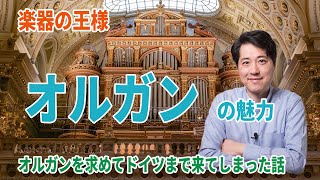 楽器の王様！パイプオルガンの魅力を紹介！オルガンを求めてドイツまでやってきた話、他