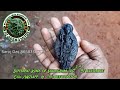 shaligram ki murti sri udupi krishna vigrah gandaki rivar shaligram shaligram stone