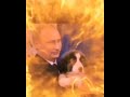 putin vs nato 普京单挑北约 full 2