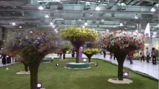 2012爭艷館花卉展(2), Taipei Flower Exhibition, Full HD 1080p