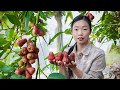 Amazing  rose apple , country girl makes Chinese food with rose apple｜野小妹 wild girl