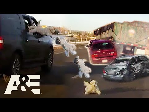 Road Wars You Can’t Look Away From – Top 8 Moments Road Wars A&E