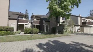 1661 Las Piedras Court, Los Gatos 95032, USA