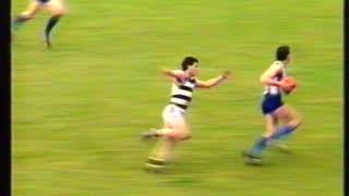 MPNFL VAULT 1989 DIV 1 GRAND FINAL EDITHVALE/ASPENDALE V CHELSEA'