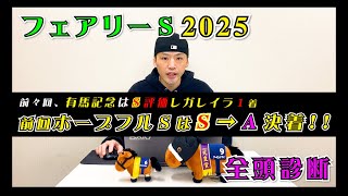 【フェアリーステークス2025】前回ホープフルＳはＳ→Ａ決着!!【全頭診断】