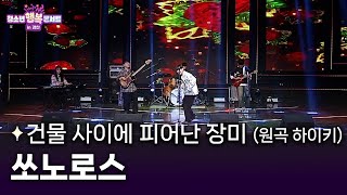 쏘노로스 - 건물 사이에 피어난 장미 🌆🌹 (원곡 하이키)ㅣ#청소년행복콘서트