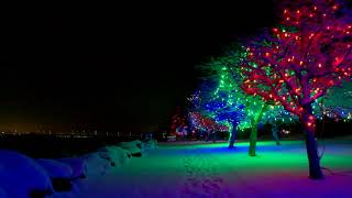 The Incredible Christmas Light display in Riverview NB (2021)