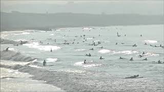 2020.8.10 湘南波情報動画　AM6:25 パーク　Jerry Smith