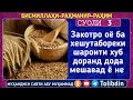 СУОЛИ 3 ЗАКОТРО ОЁ БА ХЕШУ ТАБОРЕ УИШАРОЙТИ ХУБ ДОРАНД ДОДА МЕШАВАД Ё НА