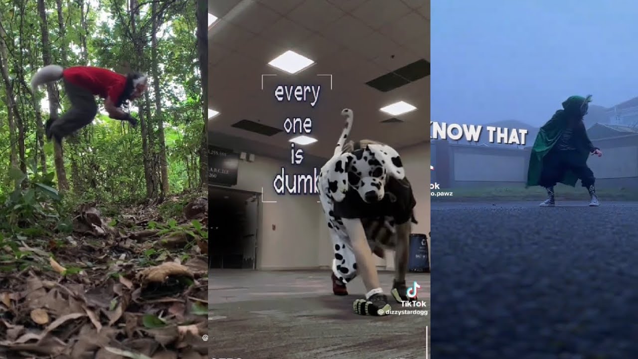 Quadrobics Alterhuman Tiktok Compilation 4 Alterhuman Community