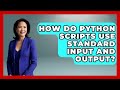 How Do Python Scripts Use Standard Input And Output? - Python Code School