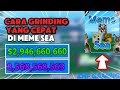 CARA GRINDING LEBIH CEPAT DI ROBLOX MEME SEA(Roblox Indonesia)