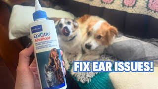 Virbac Epi-Otic Advanced Ear Cleanser for Dogs \u0026 Cats - Treating Yeast, Bacteria, and Wax for Dogs