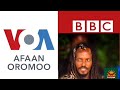 guutuu af gaaffii bbc fi voa jaal sanyii nagaasaa waliin taasisan