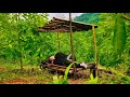 5 Days solo Building a Survival Shelter; (Search Wild Food) Survival in the Deserted Forest