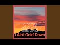 I Ain't Goin' Down