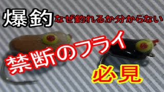 フライフィッシング　かわいい禁断のフライ　（ＴＥＮＫＡＲＡ）