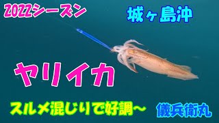 2022シーズン　ヤリイカ釣り　城ヶ島沖、始まりました！！　【ヤリイカ釣り】【直結仕掛け】【ピッカピカ針】【水中映像】