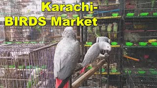 SADDAR EXOTIC BIRDS MARKET | Parinda Bazar Cat Ostrich Animals Empress Market Karachi | Adeel Jamil