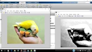 image pre-processing using matlab.