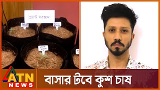 প্রথমবারের মতো ধরা পড়লো কুশ মাদক | Drug | ATN NEWS