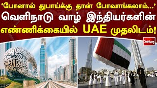 'போனால் துபாய்க்கு தான் போவாங்கலாம் ...' வெளிநாடு வாழ் இந்தியர்களின் எண்ணிக்கையில் UAE முதலிடம்!