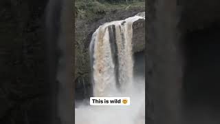 This is wild.... @tsn_official on Instagram #shorts #kayak #daredevil #waterfalls #xtreme #sports