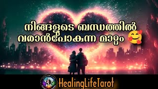 person ന്റെ communication വരും. നിങ്ങൾ തമ്മിൽ അടുക്കാനുള്ള അവസരം🥰🧿🔮 #currentfeelings #lovereading