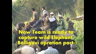 Operation balligavi part-02 Elephants Staff ready for tranquilize dart to wildTusker