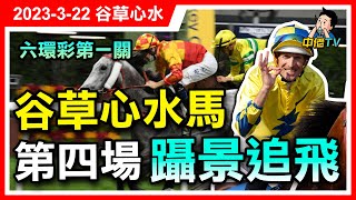 【中佬賽馬貼士】（3月22日 谷草夜賽）六環彩第一關｜R4第四場位置Q推薦呢兩匹馬 躡景追飛做馬膽 #賽馬賠率 #賽馬貼士#冷馬#過關#爆冷