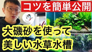 【自信ない方でもできる】大磯砂で美しい水草水槽を作るコツをご紹介