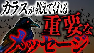 【スピリチュアル】カラスが教えてくれる重要なサインを見逃してはいけない！[ゆっくり解説]