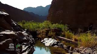 Wadi Wurayah, United Arab Emirates