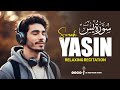 Surah Yasin (Yaseen) | Relaxing Beautiful Heart Touching Voice | سورة يس | RKR STUDIO