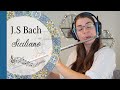 Siciliano from Flute Sonata in Eb BWV 1031 by J. S. Bach