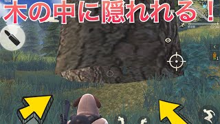 【裏技】  木の中に隠れられる小技！     【荒野行動】