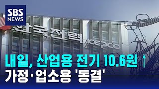 내일부터 산업용 전기요금 10.6원↑…가정 · 업소용 '동결' / SBS