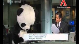 Panda Chong, Tim Go's new Co-Anchor On Channel NewsAsia