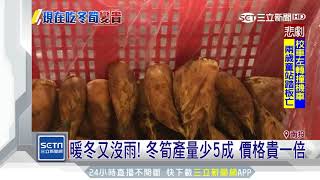 暖冬又沒雨！冬筍產量少5成　價格貴一倍│三立新聞台